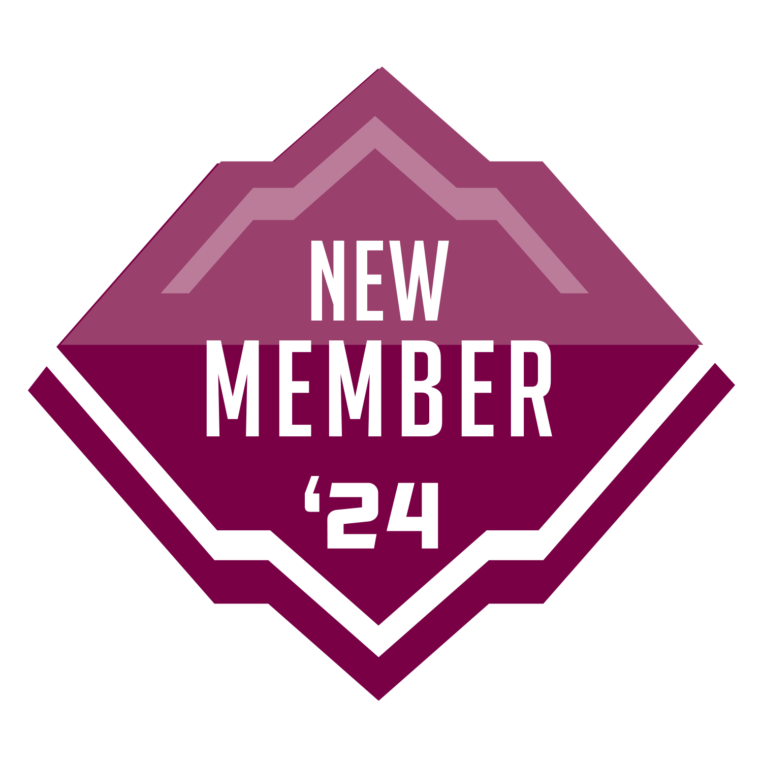 new member 24 badge